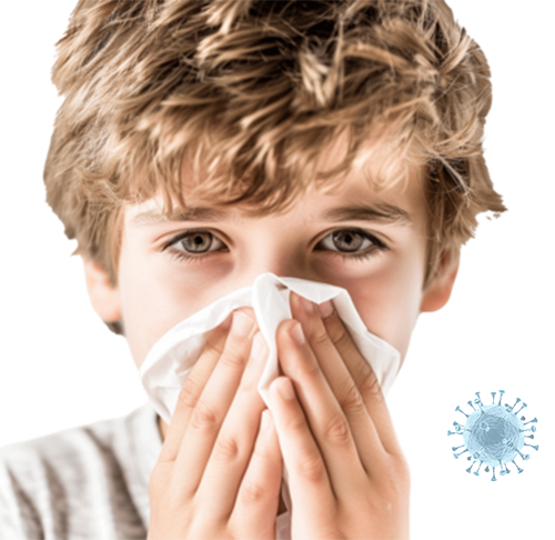 Air Ducts Cleaners Lewisville TX